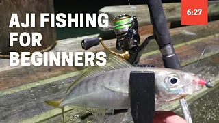 Aji Fishing Tutorial for Beginners | Micro Softbaiting Ajing for Jack Mackerel