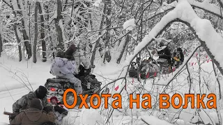 Охота на волка #2 день первый