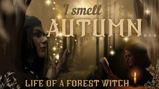 'I Smell Autumn' 🍂 Life of a Forest Witch 🤎 Kitchen Witchery | Fae led walk | Altar work 🌾