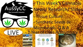 @AussyCC Live; Plant Tissue Culture, Microbeads, Di-haploidization, Home Setups,1yr Live Anniversary
