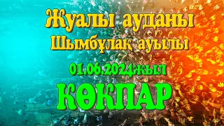 Жуалы ауданы Шымбұлақ ауылы 01.06.2024жыл КӨКПАР