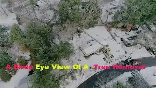 A Drone View of A Tree Removal 4K