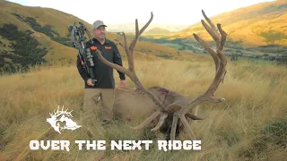 New Zealand Elk, Stag & Chamois hunt