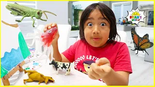 Ryan Pretend Play Bugs Catching and learning about insects for kids!!!