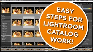 Simple steps to mastering the Lightroom Classic Catalog