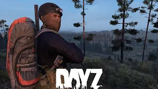 Something Ain't Right - DayZ