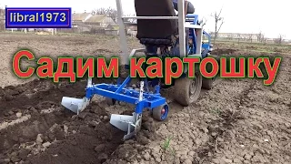 Planting potatoes compact tractors