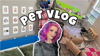 transforming, cleaning, & decorating the pet room 🐾 | PET VLOG |