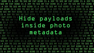 Hide Payloads for MacOS Inside Photo Metadata [Tutorial]
