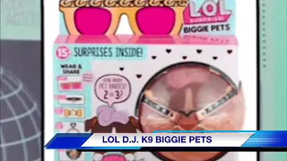 LOL D.J. K9 BIGGIE PET REVIAL