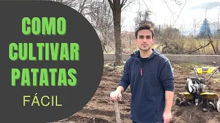 Como Sembrar Patatas | Muy Sencillo 🌱⛰