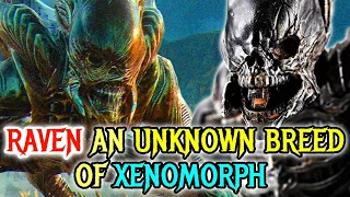 Raven Xenomoprh Origins - One Of The Most Dangerous, Disturbing & Distorted Xenomorph Mutation