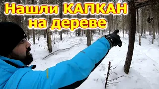 Чуть не угодили в капкан в лесу