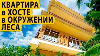 Кому квартиру в Хосте в окружении леса. Купить квартиру в Сочи.