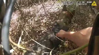 Watch Police K9 Track man hiding in woods