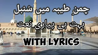 Chaman-e-Taiba Mein Sumbul Jo Sawaare Gesu || Beautiful Naat With Lyrics || Rang-e-Raza