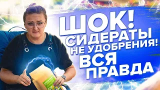 СИДЕРАТЫ НЕ УДОБРЕНИЯ! ВСЯ ПРАВДА О ГОРЧИЦЕ, ФАЦЕЛИИ, ГРЕЧИХЕ, РЕДЬКЕ