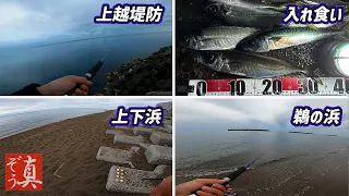 【ショアジギ+泳がせ+サビキ】ハシゴ釣行！でかアジ入れ食い