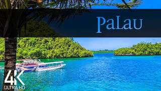 【4K】🇵🇼 VIRTUAL WALKING TOUR: 🚶 «The Paradise of Palau 2021» 🎧 ORIGINAL SOUNDS 🚫 NO COMMENT 📺 ASMR
