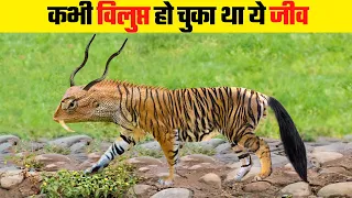 धरती पर फिर लौटे ये विलुप्त जानवर | These Extinct Animals Have Returned To Earth Again