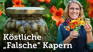 Kapuzinerkresse: Wir machen aus den Samen die herrlich köstlichen „falschen KAPERN“! 😋