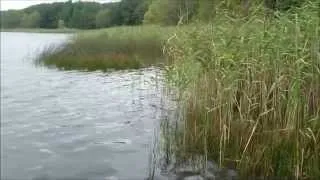 Jezioro Zagłębocze - 30.08.2014 r.