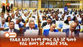 የአዲስ አበባ ከተማ ምክር ቤት 3ኛ ዓመት የስራ ዘመን 3ኛ መደበኛ ጉባኤ