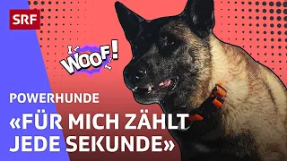 Eik: Lawinensuchhund im Einsatz | Powerhunde | SRF Kids – Kindervideos