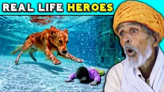 Tribal People React To Hero Animals that Saved Human Lives ! Tribal People React To Hero Animals