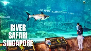 River Safari Singapore Walking Tour (2020)