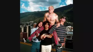 Red Hot Chili Peppers - How Strong (Otherside B-Side)