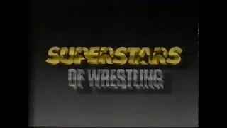 WWF Superstars Of Wrestling - March 25, 1989