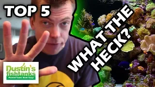 FISH TANK FAILS - Top 5 what the heck were they thinking?!