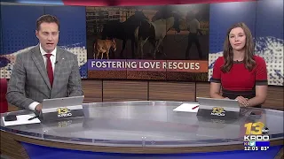 Fostering Love Rescues hosting grand opening