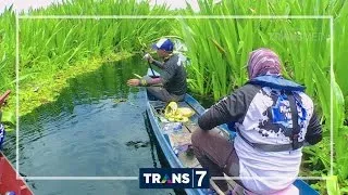 MANCING MANIA - KERANDANG AIR HITAM (24/9/16) 3-2