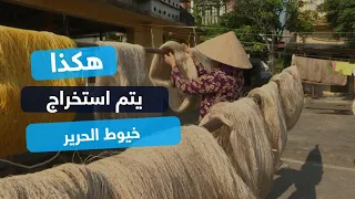 هكذا يتم استخراج خيوط الحرير يدوياً في فيتنام