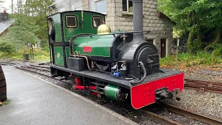A Visit to the Ffestiniog And Welsh Highland Railway 24/10/21 (Woodland Wanderer)