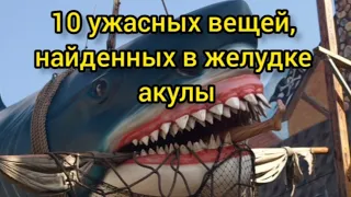 10 ужасных вещей, найденных в желудке акулы...