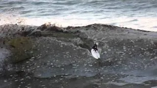 rc surfer