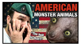 British Marine Reacts To 25 U.S. Animals You Won't Find Anywhere Else