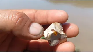 Aprende a identificar piedras preciosas en el río.