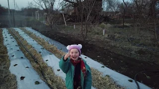 Чем Подкормить Маточник Клубники  Весной. Как Мы Поливаем Маточник.