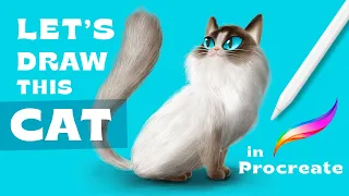 How to Draw a Cat in Procreate!