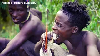 The Hadzabe - Hunting Bush Baby - Behind the scenes