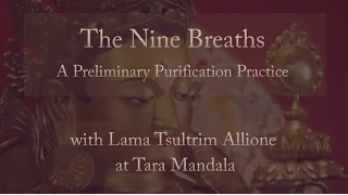 The Nine Breaths - A Preliminary Purification Practice