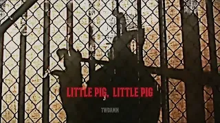 LITTLE PIG, LITTLE PIG LET ME IN