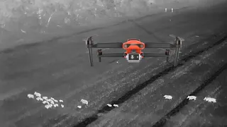 Thermal Drones for Hog Hunting - First Video Ever?