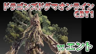 【実況】ドラゴンズドグマオンライン CBT1【VSエント】