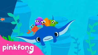 Pari Manta | Series Binatang Laut | Lagu Anak pendidikan | Pinkfong & Baby Shark