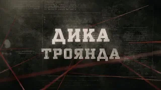 Дика троянда | Вещдок